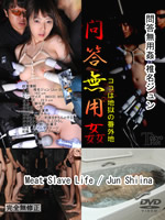 Meat Slave Life : Jun Shiina